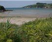 Wonwell Sands Beach Picture