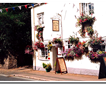 Old Cottage Tea Shop (The) Picture