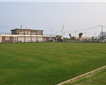 The Den, Teignmouth Picture
