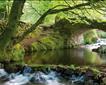 Exmoor National Park Picture