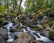 Becky Falls Picture