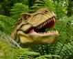Combe Martin Wildlife and Dinosaur Park Picture