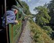 South Devon Railway Picture