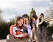The Donkey Sanctuary Picture